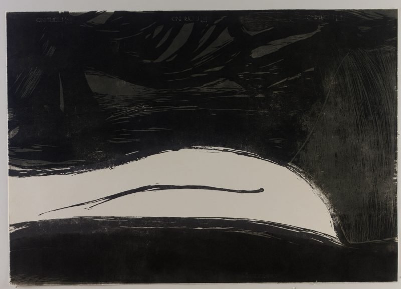 Whale